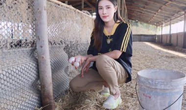 สาวออฟฟิศใช้เวลาว่างเลี้ยงเป็ดบนบ่อปลาสวาย เก็บไข่จับปลาขายเป็นรายได้ 2 ต่อ