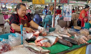 ดันทต.ศรีสงคราม สู่ซอฟต์พาวเวอร์ตลาดปลาน้ำโขง ใหญ่สุดของไทยที่นครพนม