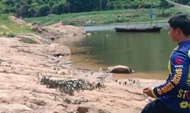 อันซีนโคราช!ตื่นตาตื่นใจ ผีเสื้อนับแสนรวมตัวที่อุโมงค์ต้นแจง แก่งวังวน เขื่อนลำแชะ