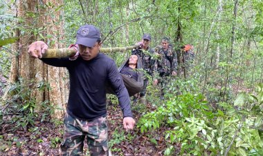 ระทึก!จนท.ป่าไม้ประจันหน้าหมีควายไล่ขย้ำเฉียดตาย