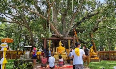 วันวิสาขบูชาโลก บุญประเพณี นมัสการต้นพระศรีมหาโพธิ์ วัดต้นโพธิ์