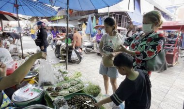 ลูกค้าซื้อไม่อั้น "แมงจีนูน”อาหารพื้นบ้านอีสานของแทร่!! 1 ปีได้กินครั้งเดียว