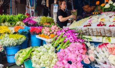 วิสาขบูชาโลก 2567 เศรษฐกิจเชียงใหม่คึกคัก ยอดขายดอกบัวพุ่ง