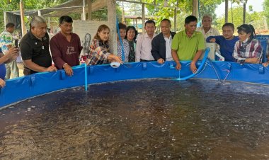 เทรนด์ใหม่ เลี้ยงปลาดุก ปลาสวาย ระบบปิด "ไมโคร นาโนบับเบิ้ล" ลดต้นทุน กำไรพุ่ง