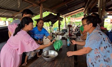 คอหวยแห่ขอเลขเด็ดจากอึ่งเผือกชาวบ้านเชื่อโผล่มาให้โชคลาภ