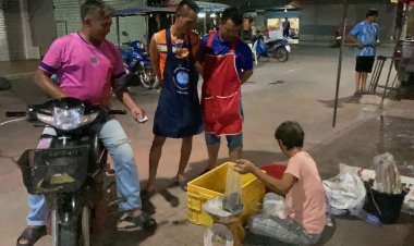 โคราชฝนตกอึ่งอ่างออกหากิน ชาวบ้านแห่จับทำอาหารเมนูเด็ด เหลือส่งขายรายได้งาม