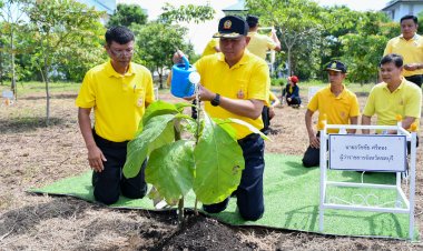 ชาวชลบุรีพร้อมใจปลูกป่าเฉลิมพระเกียรติในหลวงเฉลิมพระชนมพรรษาครบ 6 รอบ