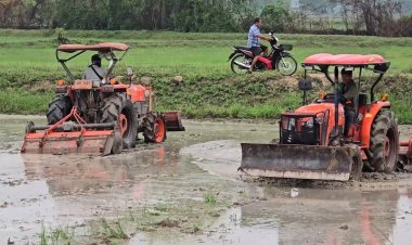 ฝนตกชาวนาแห่พลิกผืนนาปลูกข้าวโอกาสทองรถไถนาทำเงิน