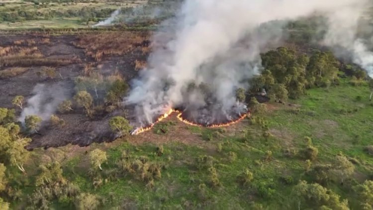 ไฟไหม้ป่าพรุควนเคร็งเมืองคอนลามเสียหายแล้ว 15 ไร่