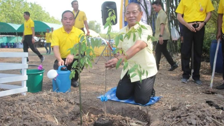 เรือนจำพิจิตรจัดกิจกรรมเพิ่มพื้นที่สีเขียว เฉลิมพระเกียรติพระบาทสมเด็จพระเจ้าอยู่หัว