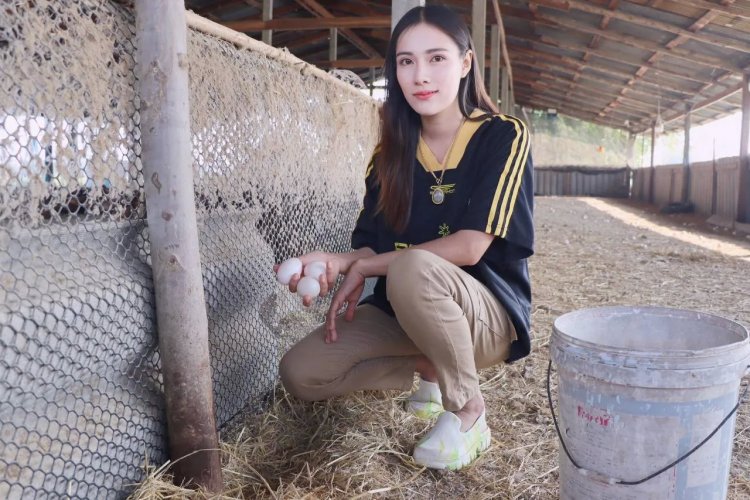 สาวออฟฟิศใช้เวลาว่างเลี้ยงเป็ดบนบ่อปลาสวาย เก็บไข่จับปลาขายเป็นรายได้ 2 ต่อ