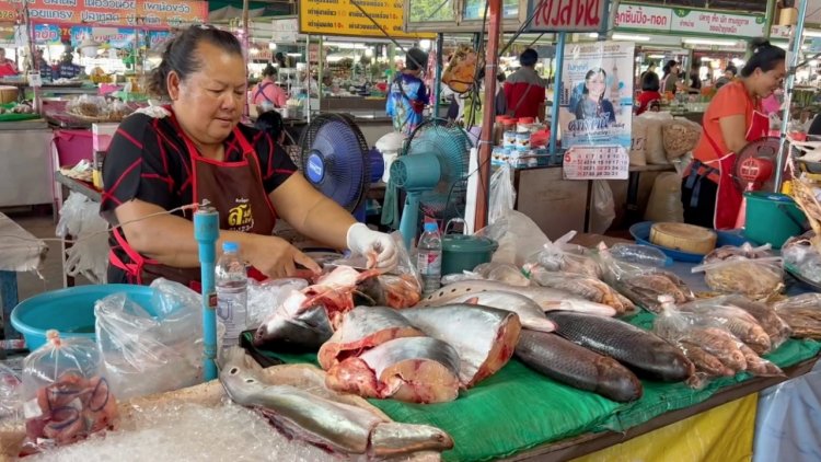 ดันทต.ศรีสงคราม สู่ซอฟต์พาวเวอร์ตลาดปลาน้ำโขง ใหญ่สุดของไทยที่นครพนม