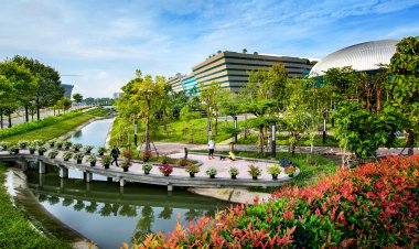 สคร. ประเมิน DAD ให้คะแนนเต็ม 5  ด้านการดำเนินงานตามยุทธศาสตร์และผลงาน