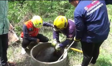 ผช.ผญบ.-อบต.รุดช่วยน้องหมาตกบ่อลึกกว่า 10 เมตร