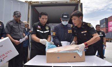 ดีเอสไอเปิดตู้คอนเทนเนอร์ไม่มีผู้แสดงตนพบซากสัตว์กว่า กว่า 460 ตัน