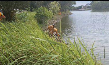 สลด!หลวงพี่ป่วยโรคซึมเศร้า-ขาดยา กระโดดสระน้ำวัดจมดับ