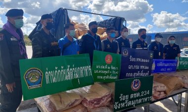 คดีหมูเถื่อน จับ "ปลาซิวปลาสร้อย" ปล่อย "ปลาใหญ่"