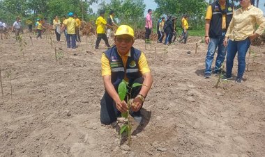 ศรีสะเกษปลูกป่าเฉลิมพระเกียรติพระพันปีหลวง-พระบรมราชินี