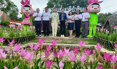 ชัยภูมิ  เมืองน่าเที่ยว...Must Go..“หยิบหมอก  หยอกดอกกระเจียว”