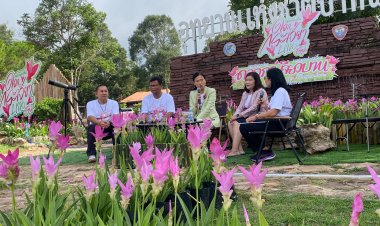 ชัยภูมิชวนเที่ยวหน้าฝน เทศกาลดอกกระเจียวบาน ทิวลิปไทยแลนด์