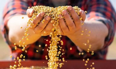 บังกี้ และ ซีพีเอฟ รับมอบกากถั่วเหลืองปลอดรุกป่าจากบราซิล "ตู้แรก"  ย้ำผู้นำความโปร่งใสระบบตรวจสอบย้อนกลับด้วยบล็อกเชน