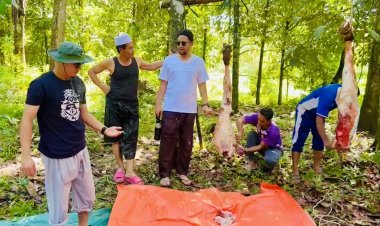 ยะลาชาวไทยมุสลิมทำกุรบานแจกจ่ายผู้ยากไร้ ในวันอีดิ้ลอัฎฮา