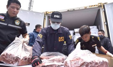 ผู้เลี้ยงหมูร้องรัฐ ตรวจสอบ DSI คดีหมูเถื่อนไม่คืบ คนผิดยังลอยนวล