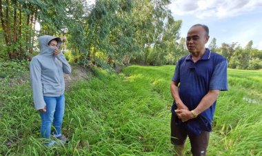 ชาวนาโคราชเฮ รัฐช่วยปุ๋ยคนละครึ่ง แบ่งเบาต้นทุนได้