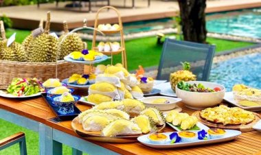 ครั้งแรก!บุฟเฟต์ทุเรียนป่าละอู ซีฟู้ดสดใหม่ เสิร์ฟในรร.หัวหินฯกระตุ้นท่องเที่ยวเชิงอาหาร