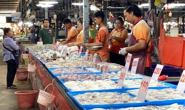 พ่อค้าแม่ค้าอั้นไม่ไหวจ่อขึ้นอาหารทะเลหลังน้ำมันดีเซลยังแพงดันค่าขนส่งพุ่ง