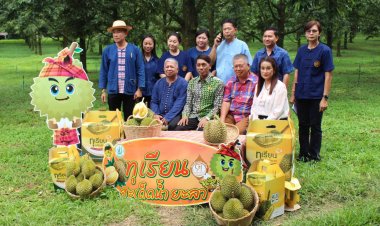 ยะลาคุมเข้มห้ามตัดขายทุเรียนด้อยคุณภาพ ฝ่าฝืนคุก 6 เดือน ปรับ 1 แสน