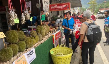 ชาวมาเลเซียข้ามฝั่งเข้าไทยแห่กินทุเรียนเบตงผลผลิตแรกคึกคัก ช่วงวันหยุดสุดสัปดาห์