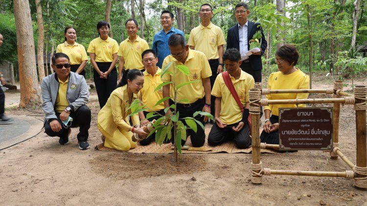โคราชคิกออฟ "โครงการบำนาญประชาชน ปลูกต้นไม้เป็นเงินออม”ตั้งเป้า 1 ล้านต้นภายในปี 2567
