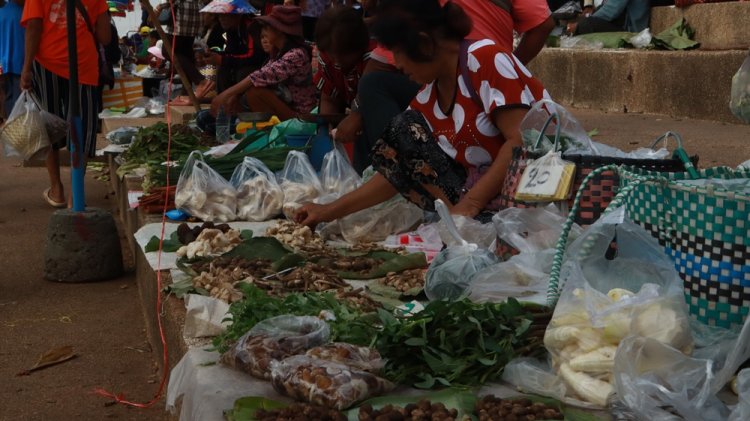 พ่อค้าแม่ค้าโวยแหลก 2 มาตรฐานจับตลาดจุดผ่อนปรนธาตุพนม แมงแคงยังถูกยึด