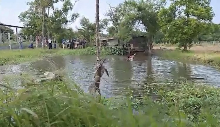 ญาติเศร้าพบคุณตาวัย 75 ปีจมน้ำเสียชีวิตในสระกลางนา