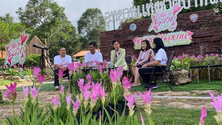 ชัยภูมิชวนเที่ยวหน้าฝน เทศกาลดอกกระเจียวบาน ทิวลิปไทยแลนด์