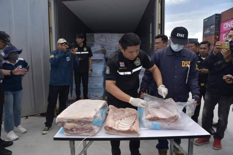 “ดึงเช็ง” คดีหมูเถื่อน ใครได้ : ใครเสีย?