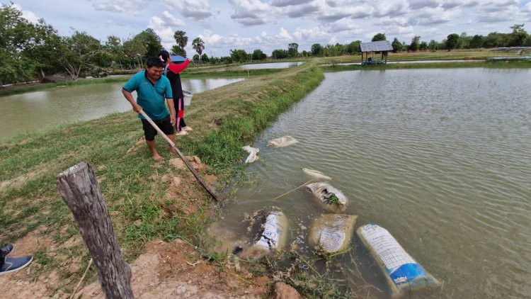 พลิกผืนนาดอนขุดสระเจาะบ่อดาลสูบน้ำเลี้ยงปลามีรายได้หลักแสนต่อเดือน