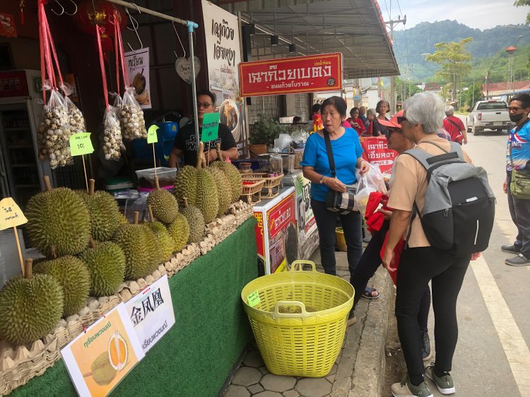 ชาวมาเลเซียข้ามฝั่งเข้าไทยแห่กินทุเรียนเบตงผลผลิตแรกคึกคัก ช่วงวันหยุดสุดสัปดาห์