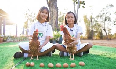 “โครงการเลี้ยงไก่ไข่เพื่ออาหารกลางวันนักเรียน” สร้างคลังอาหารที่ยั่งยืนในโรงเรียน-ชุมชน