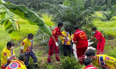 คนร้ายฆ่าโหดหนุ่มเมียนมาลากศพฝังดินสวนปาล์มที่สิชล