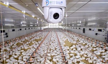 ซีพีเอฟ ผลิตเนื้อสัตว์ปลอดภัย มาตรการป้องกันโรคสัตว์ปีกระดับสูงสุด