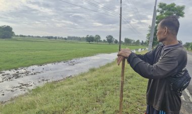 ชาวนาโคราชเฮ ฝนตกมีน้ำหล่อเลี้ยงนาข้าว เร่งสูบน้ำเข้านา หลังฝนทิ้งช่วงนาน