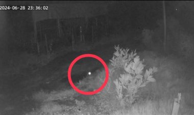 ฮือฮา!ผีปอบโผล่กบินทร์บุรีหากินกบ-เขียดหน้าฝน