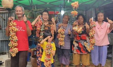 สุดทึ่ง!กลุ่มสตรีฯ“ศรีสะเกษ”ยึดอาชีพสานตะกร้าจิ๋วหนึ่งเดียวในโลกทำยอดขายสุดปัง