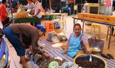 เห็ดเผาะล้นตลาดขอนแก่น จากเดิมขายกก. 800 เหลือ 100 บาท
