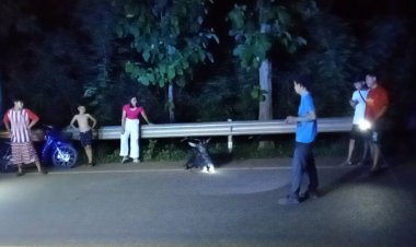 ระทึก!เลียงผาหลุดป่าวิ่งตัดหน้ารถถูกชนบาดเจ็บสาหัส