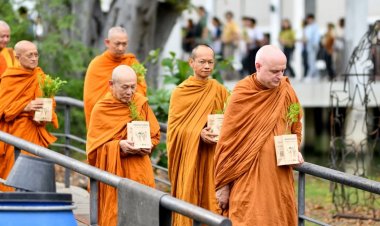 ทำบุญวิถีใหม่ เวียนเทียนด้วยต้นไม้ วันอาสาฬหบูชา ที่วัด 190 แห่งทั่วประเทศ