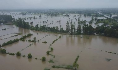 ครม. ไฟเขียว ประกันภัยข้าวนาปี'67 คุ้มภัยครอบคลุม 21 ล้านไร่