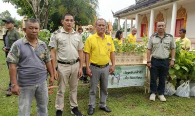 วัดเนินผาสุกวันอาสาฬหบูชาเวียนเทียนโดยต้นไม้-ปลูก